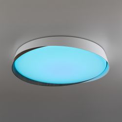 Citilux BONNY CL754450G LED RGB Светильник с пультом Белый + Венге