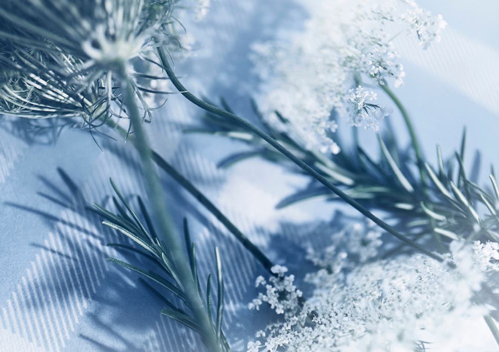 Burberry Brit Splash for Men