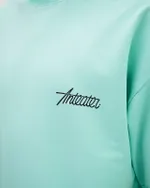 Футболка Anteater Phat 499 бирюзовая