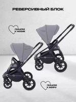 Коляска 2 в 1 Rant Flex 2025 RA076