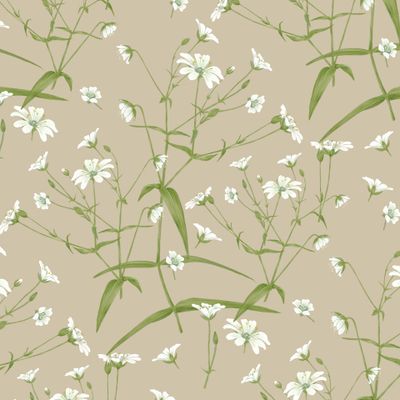 Майские цветы