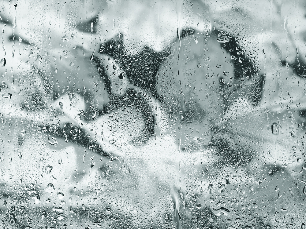 Коллекция GREENDAY 22