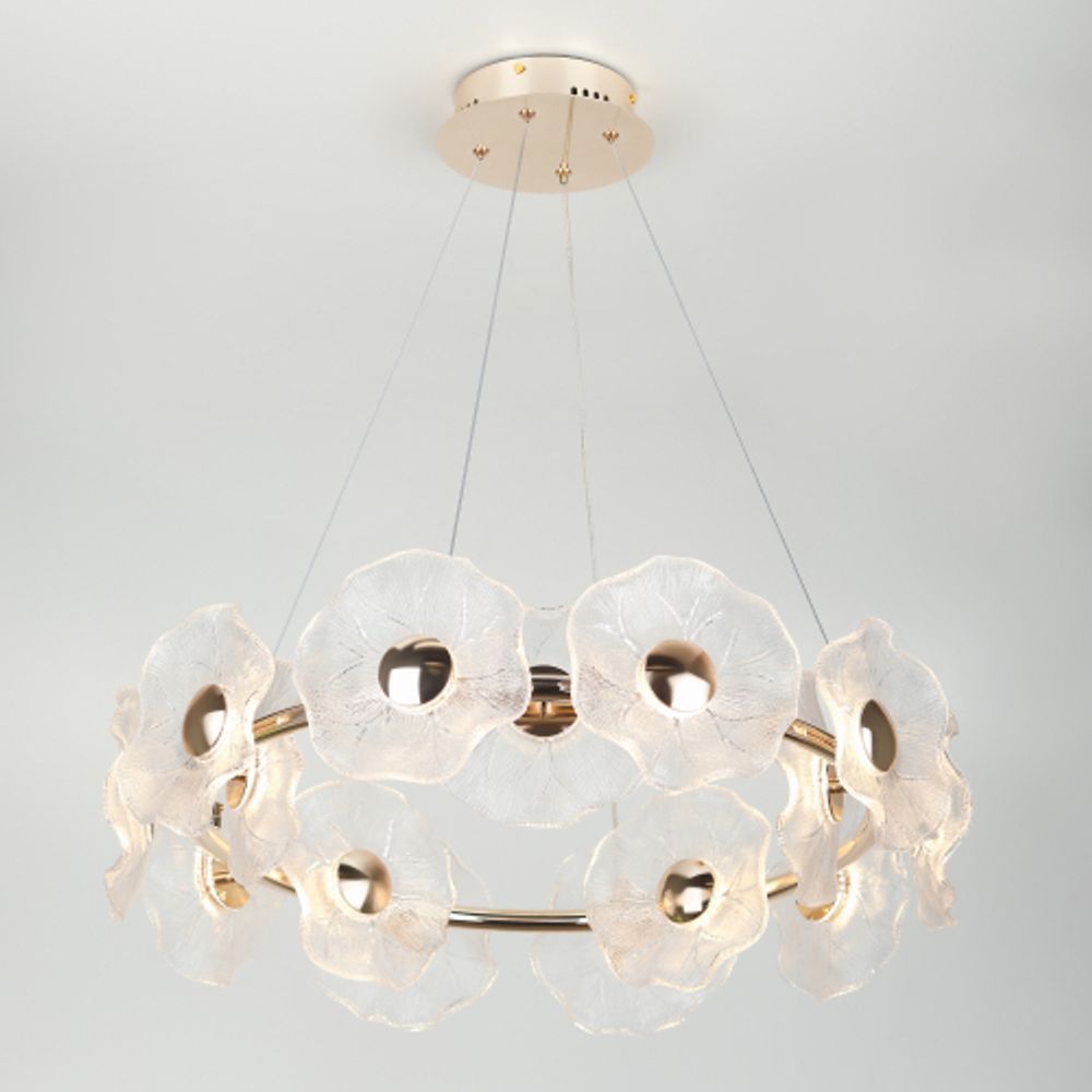 Люстра Rivoli Shannon 6135-101 светодиодная LED 30 Вт 3000 K дизайн