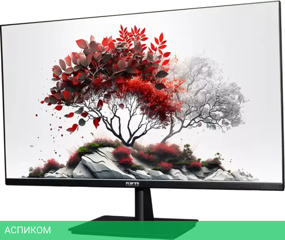 Монитор RDW Computers RDW2701K