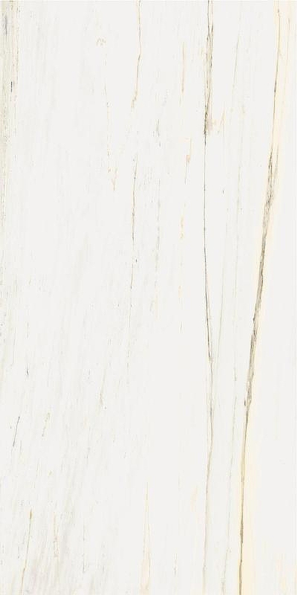 Керамогранит Italon Stellaris Carrara Ivory шлиф 610015000678 60х120 см