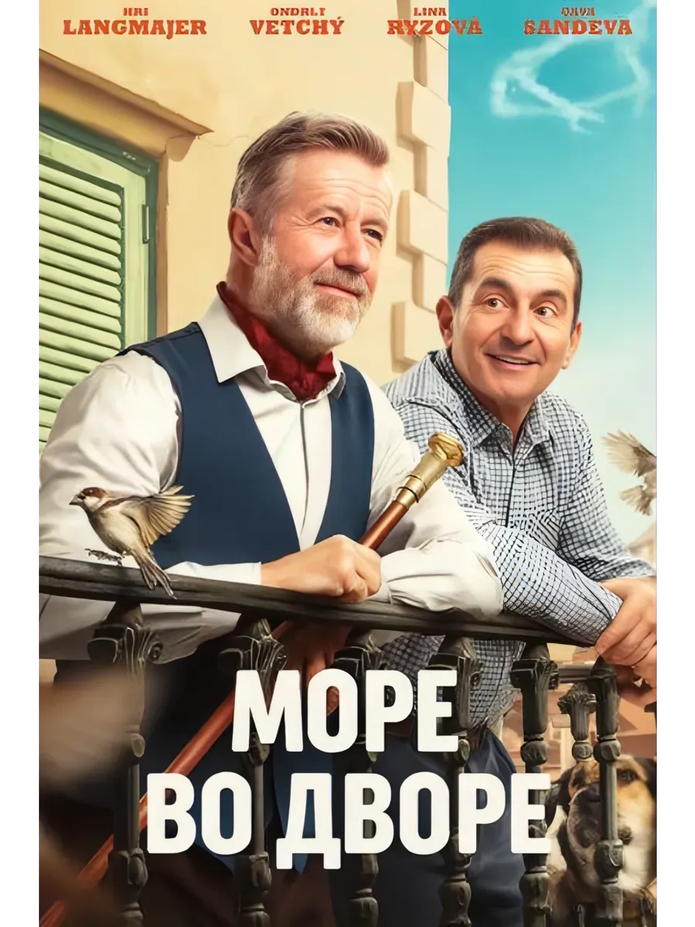 Море во дворе (2025) (DVD-R)