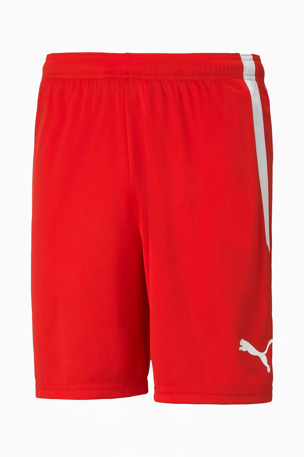 Шорты Puma teamLIGA