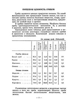 Заготовка грибов | И.А. Лагутин