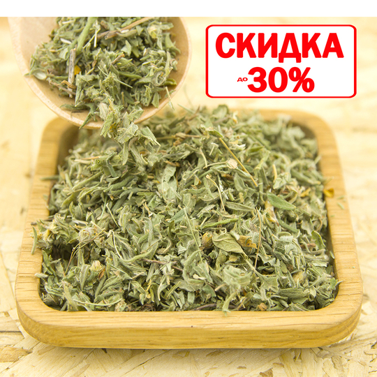 Курильский чай (побеги)