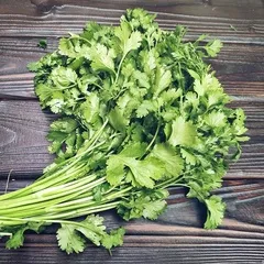 Кинза свежая / 100 гр Кинза свежая / 100 гр