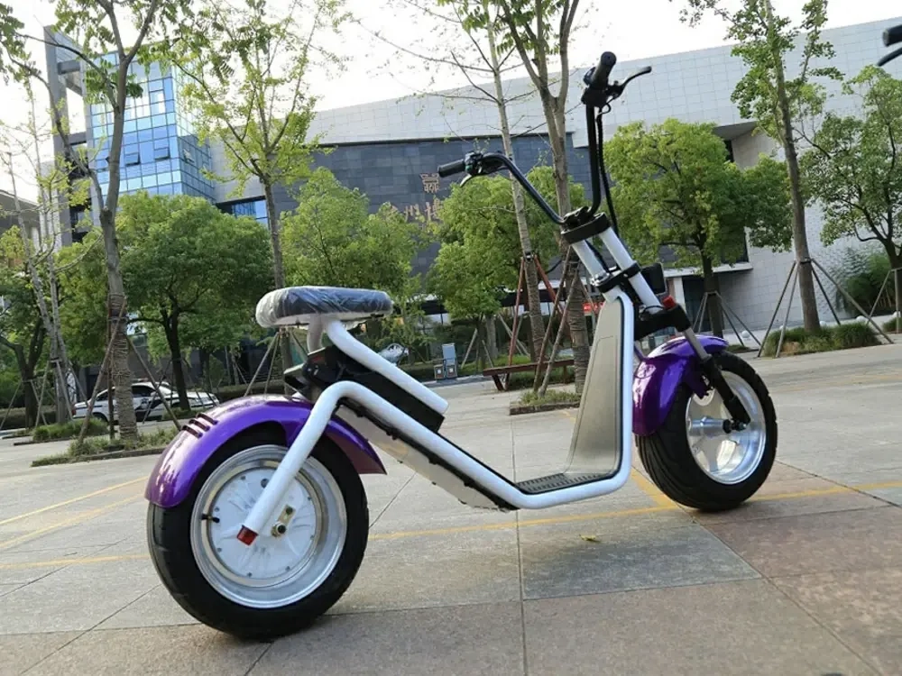 Электросамокат El-sport New Design Citycoco 1000W 60V, 12Ah