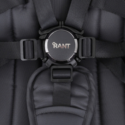 Детская коляска Rant Teo Black Chrome 2 в 1 Graphite