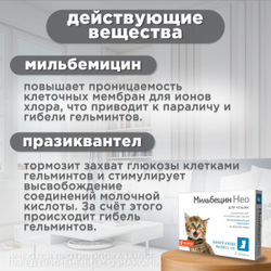 Таблетки от гельминтов для котят и кошек от 0,5-4кг со вкусом мяса МильбецинНео (Neoterica), 2т Празиквантел/ Мильбемицин