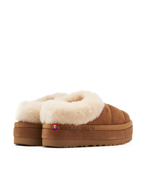 TAZZLITA Chestnut