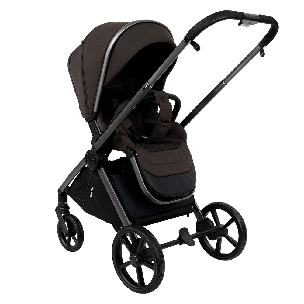 Коляска 2 в 1 Pituso Teffy Turkish Coffee шасси Graphite