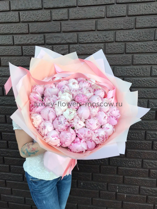 51 пион в двойной упаковке