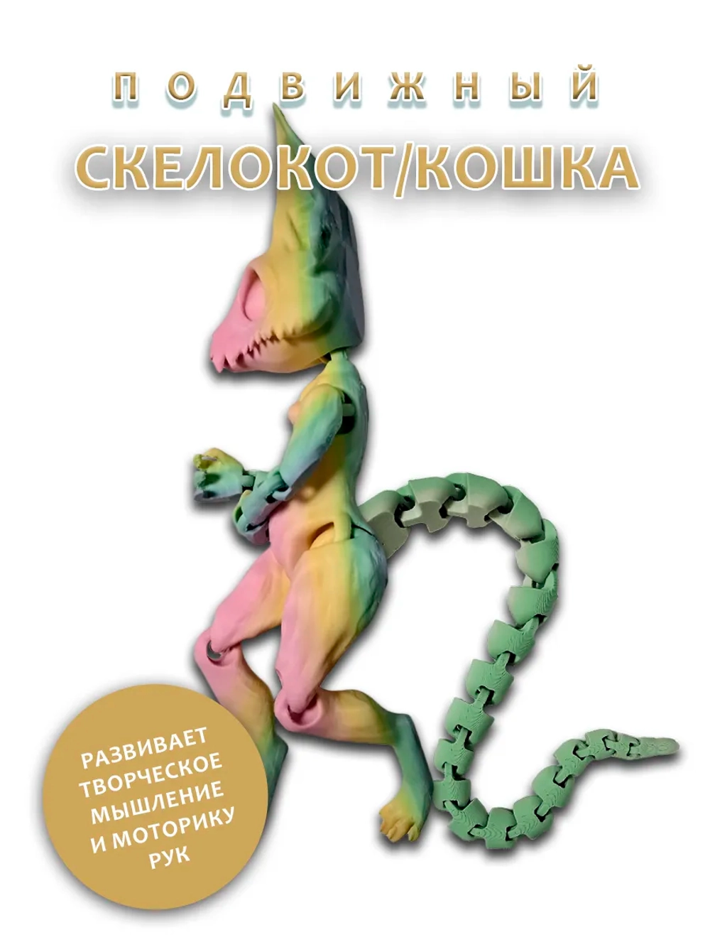 Скелет Кошки