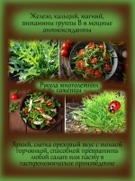 Рукула многолетняя