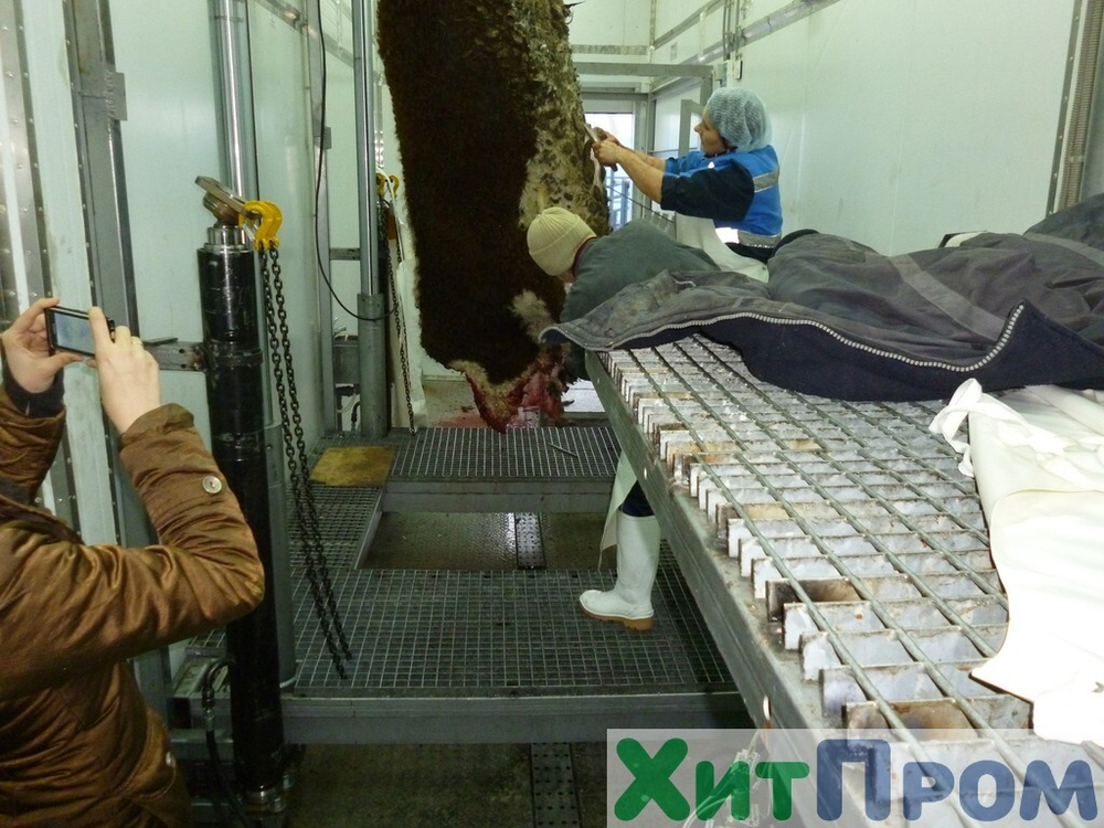 Комплекс убоя и переработки КРС до 20 голов/смена и МРС до 200 голов/смена. р. Татарстан