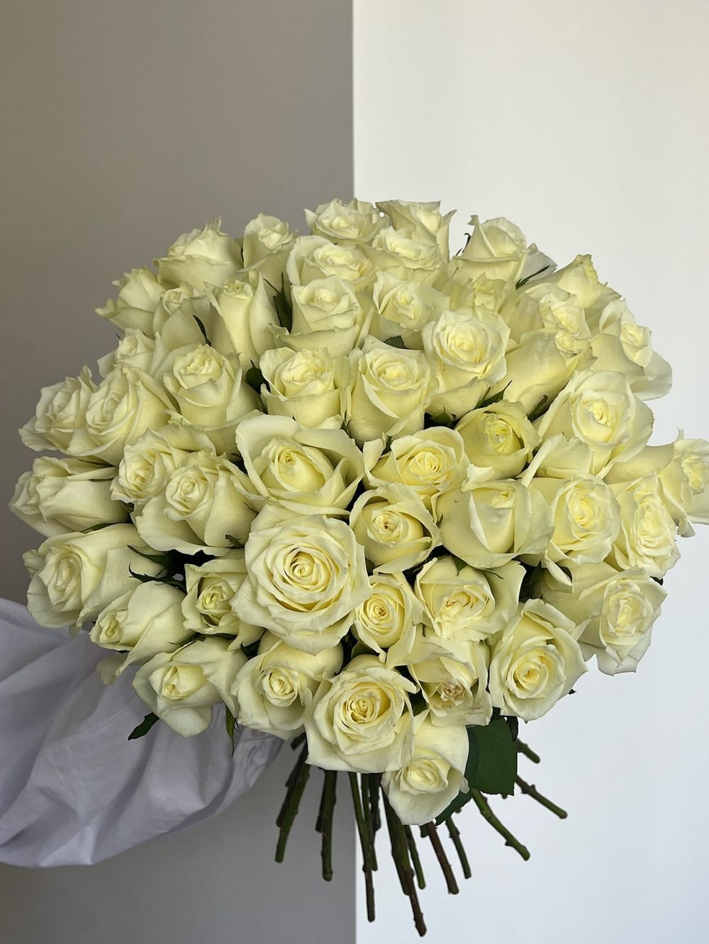 Букет из белой розы (40см) 51 шт под ленту