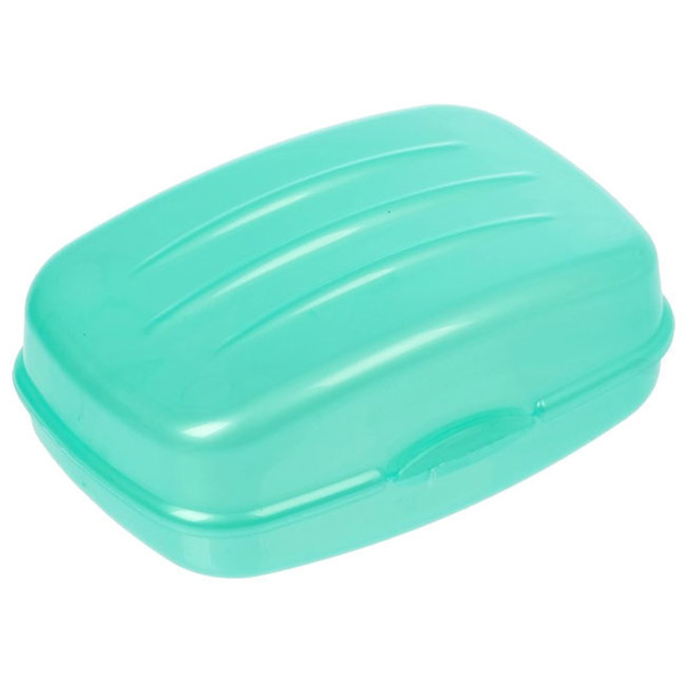 Мыльница дорожная