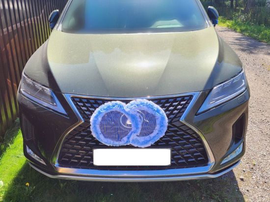 Свадебные кольца для украшения машины, голубые с белым