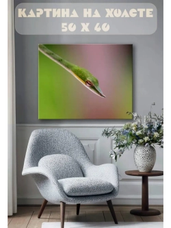 Картина на стену 40 X 50 Змея