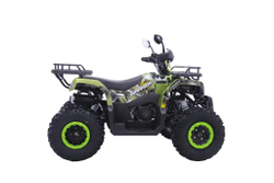 Квадроцикл YACOTA Warrior 200 PRO