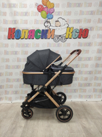 Коляска трансформер Rant Basic Pulsar Gold Grey