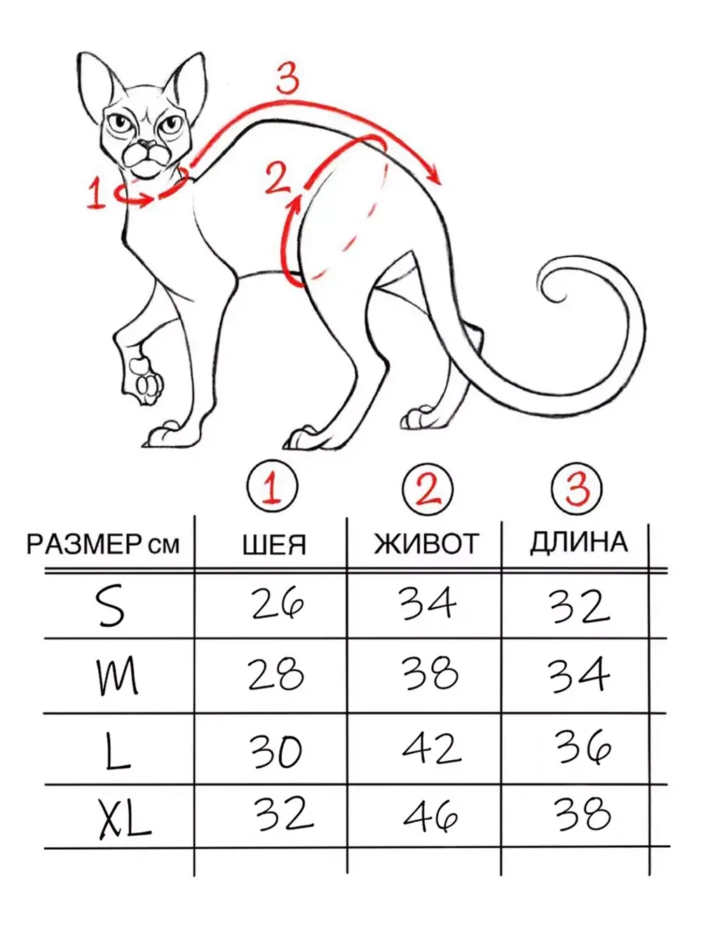 Одежда для кошек сфинкс