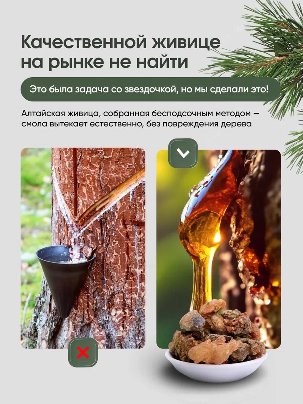 Живица кедровая 10% на тыквенном масле, с пипеткой, 100 мл