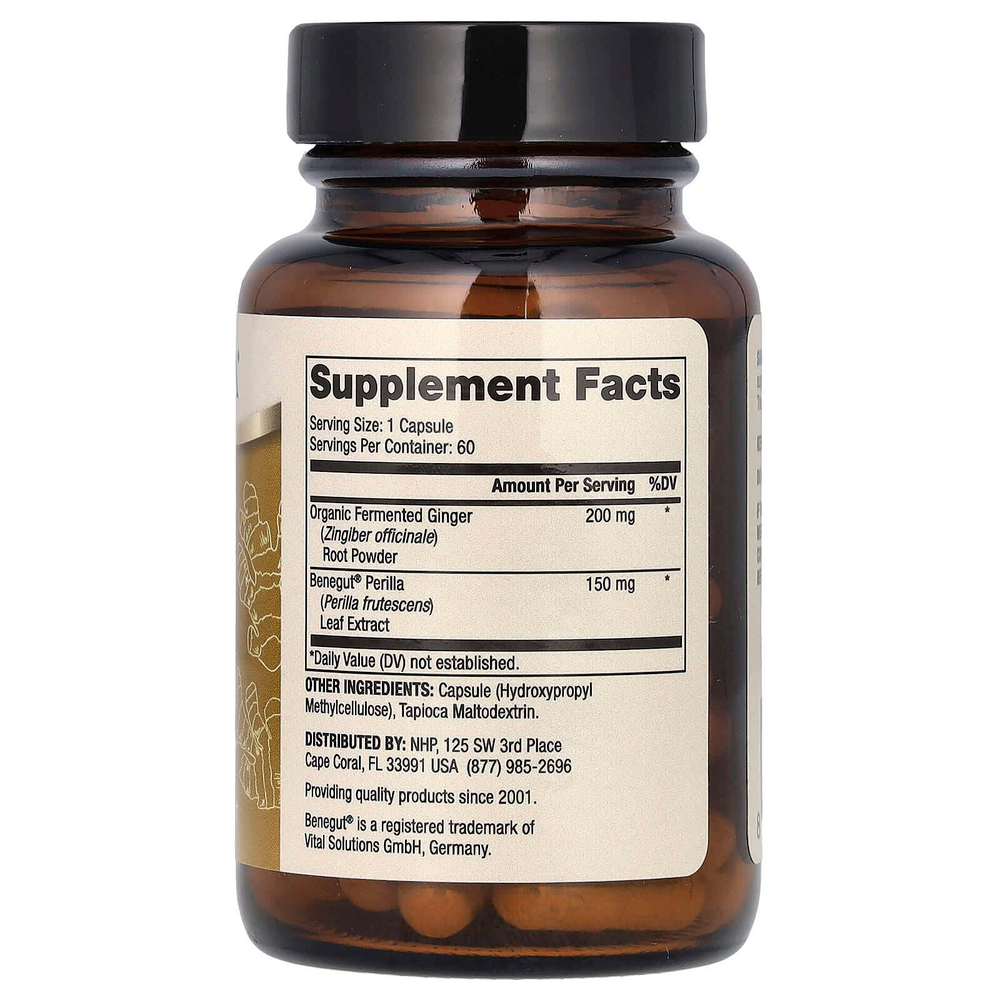Dr. Mercola, ферментированный имбирь с бенегутом, 60 капсул