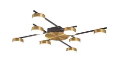 X1000A-DWS-8 BLACK+BRASS (1) Светильник (NW) #