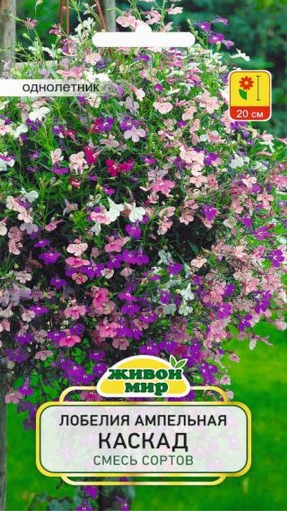 Лобелия ампельная "ЖМ. Kacкaд cмecь copтoв" 0,1г., Польша.