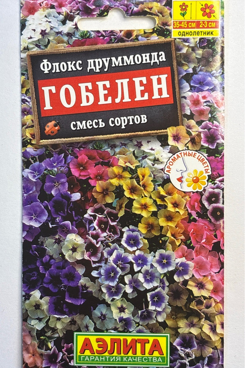 Флокс Гобелен, смесь сортов СМЦ-816
