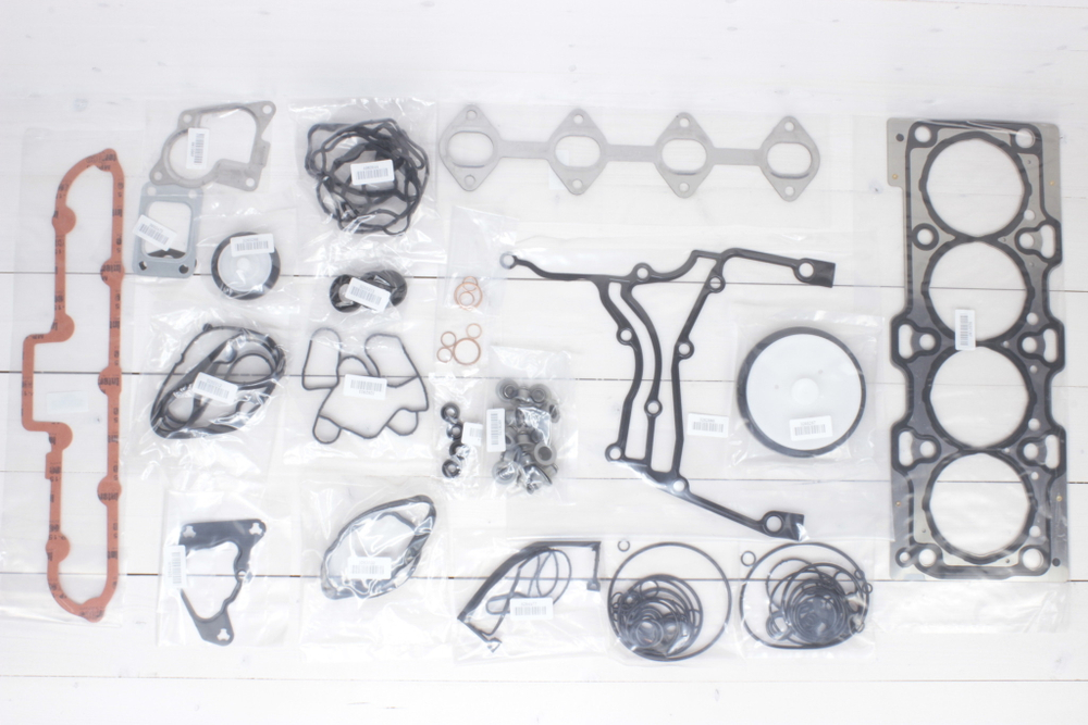 Ремкомплект двигателя Cummins ISF2.8 0310