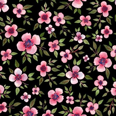 Pink flowers on a black background. Розовые цветы на черном фоне