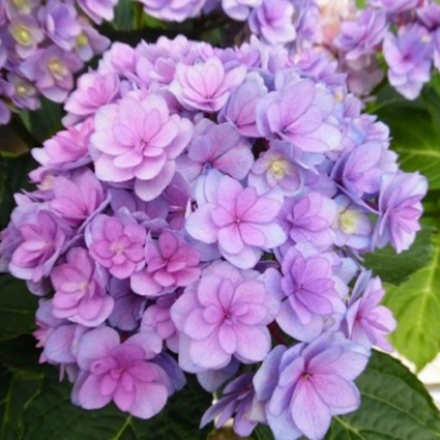 Ю энд Ми Тугезе «You & Me Together» р14 Европа весна 2026 г.