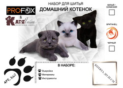 Набор к МК "Домашний котенок (британец)"