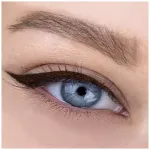 Подводка-фломастер для глаз luxvisage perfect color waterproof 14h matt finish, brown