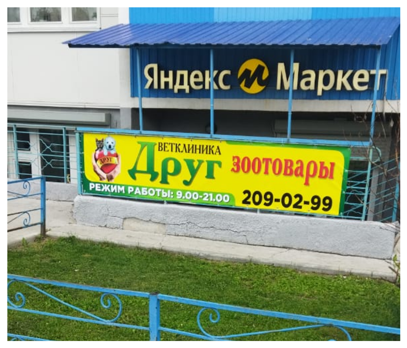 Открылась ветеринарная клиника “Друг” в Новосибирске: полный спектр услуг для животных