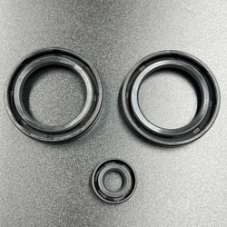 Ремкомплект редуктора Mercury 200-300 (8M0065064)  (JSP)