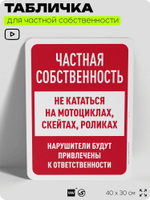 Табличка для частной территории "Частная собственность", на дом, для участка, организаций, предупреждающая, 40х30 см, Silver Plane x Айдентика Технолоджи