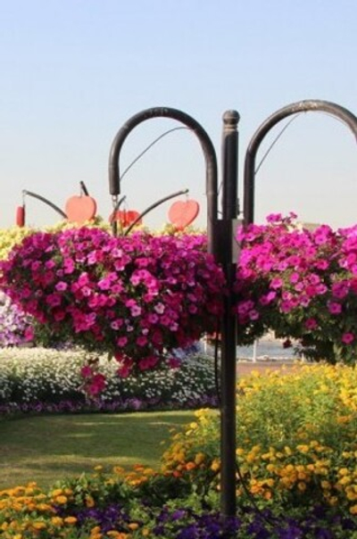 Цветочница Аллейная-2