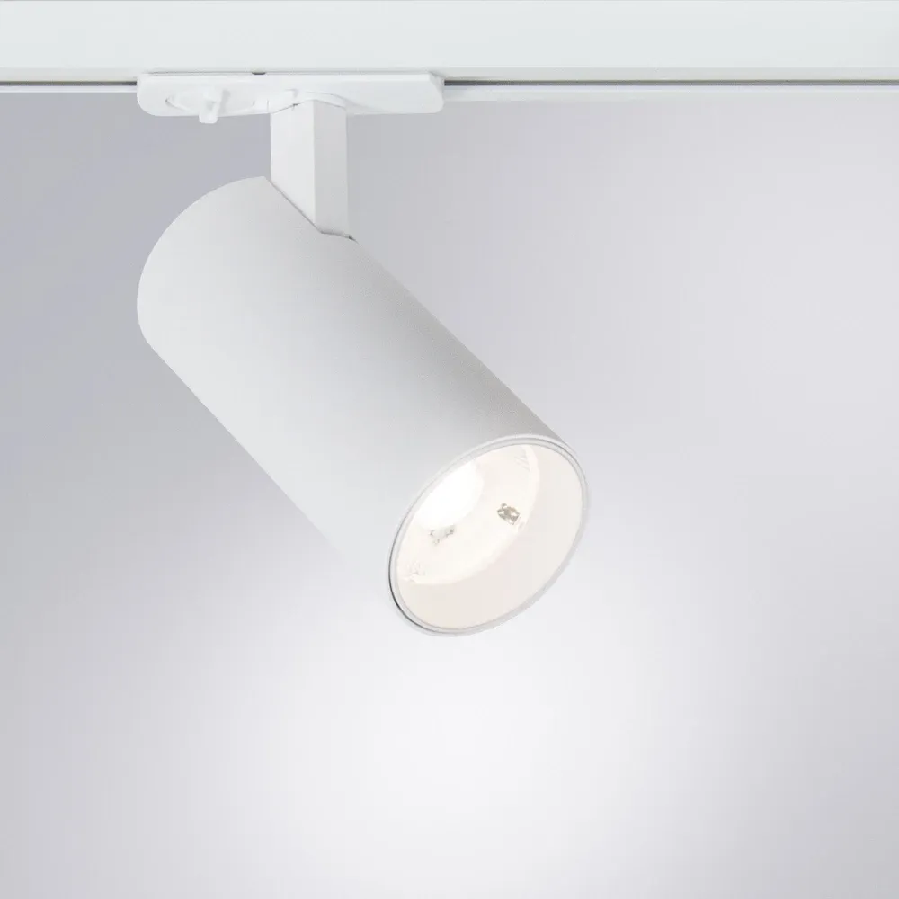 Трековый светильник Arte Lamp BENE