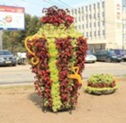 Топиарная фигура Самовар