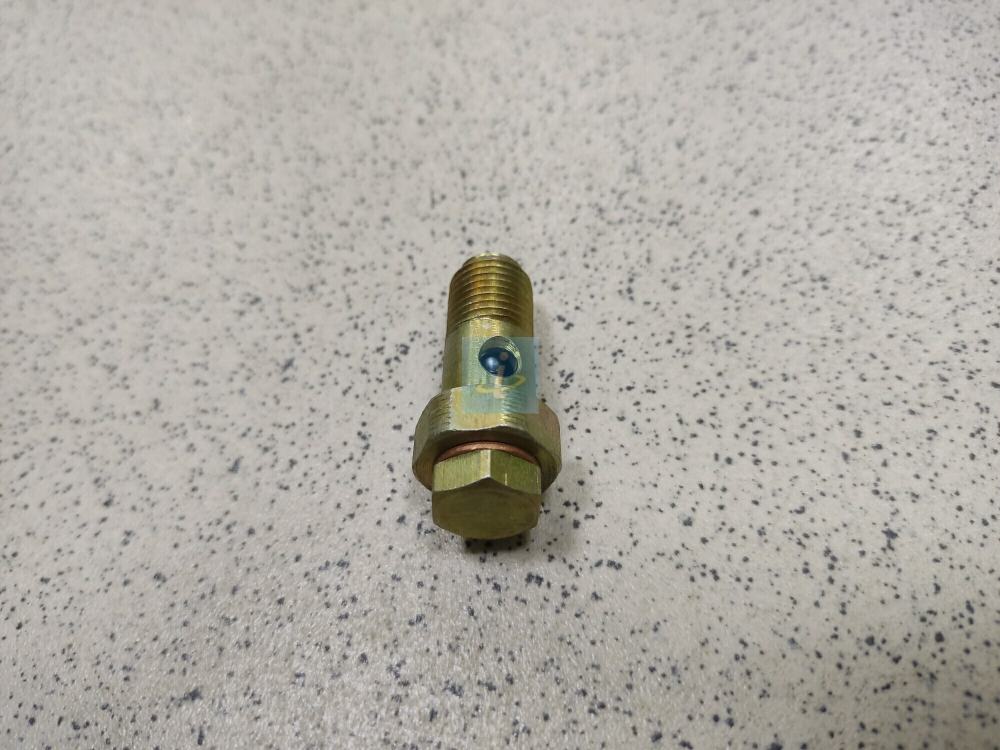 Клапан перепускной 33.1111282-01