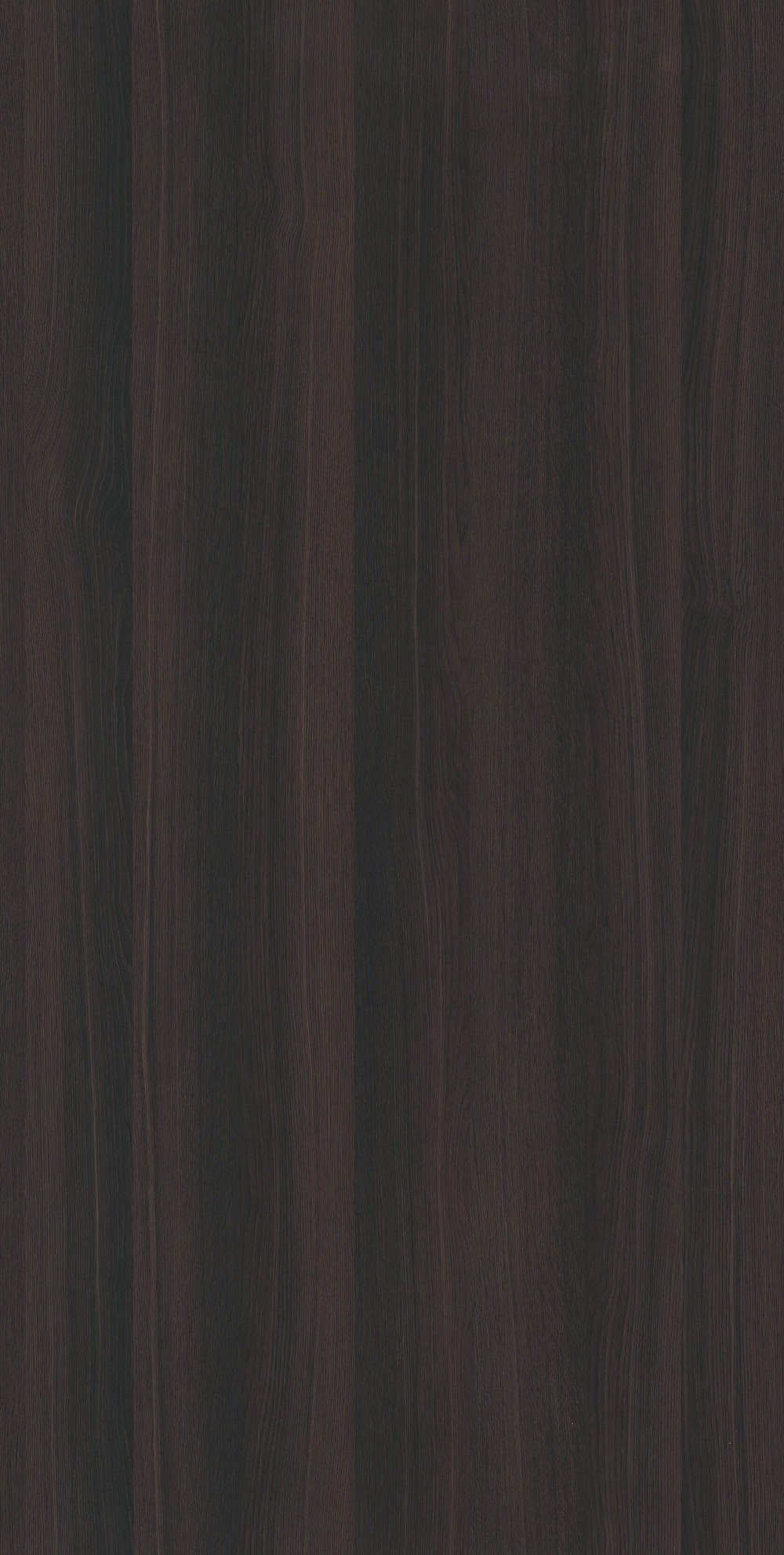 Английский дуб