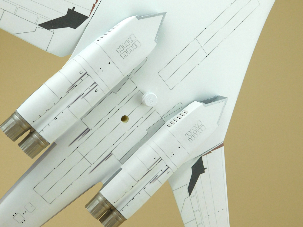 Модель самолета Ту-160 (М1:100, ВВС России, Николай Кузнецов)