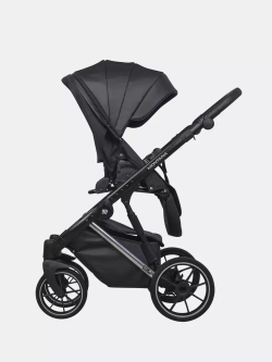 Коляска MONTANA PREMIUM (2 в 1) (RIKO BASIC)